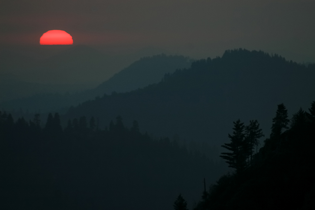 07-02 - 26.JPG - Sequoia National Park, CA